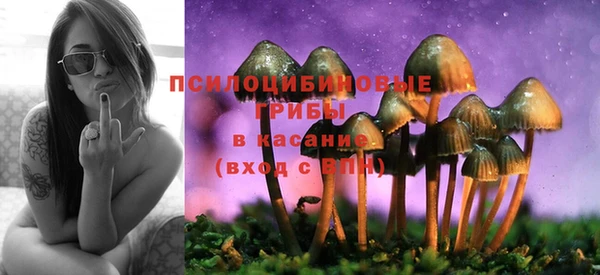 трава Абинск