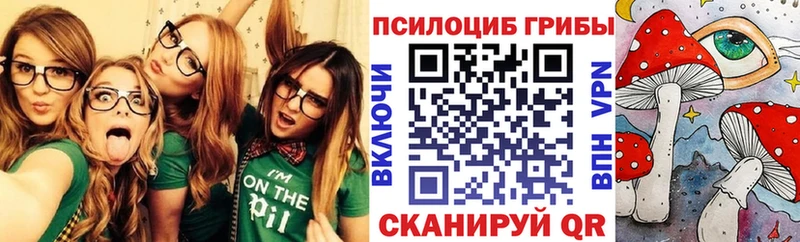 Галлюциногенные грибы Psilocybine cubensis  закладки  Весьегонск 